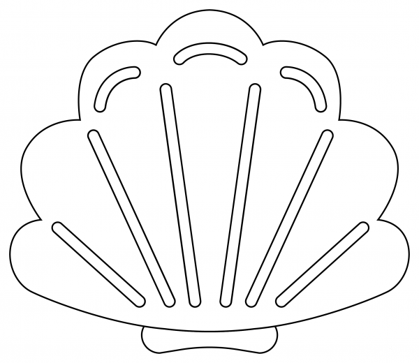 Seashell coloring page image