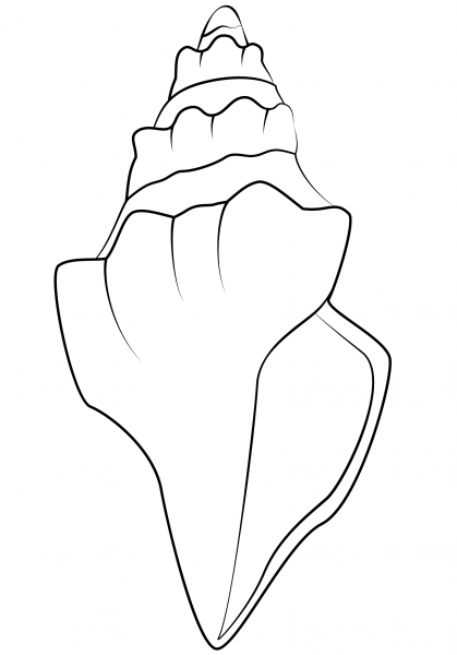 Seashell coloring page image