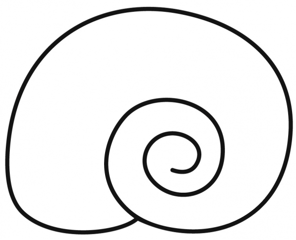 Seashell coloring page image