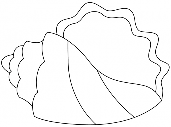 Seashell coloring page image