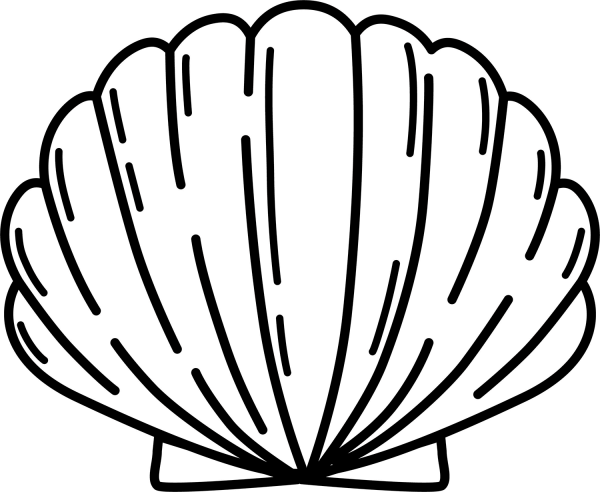 Seashell coloring page image