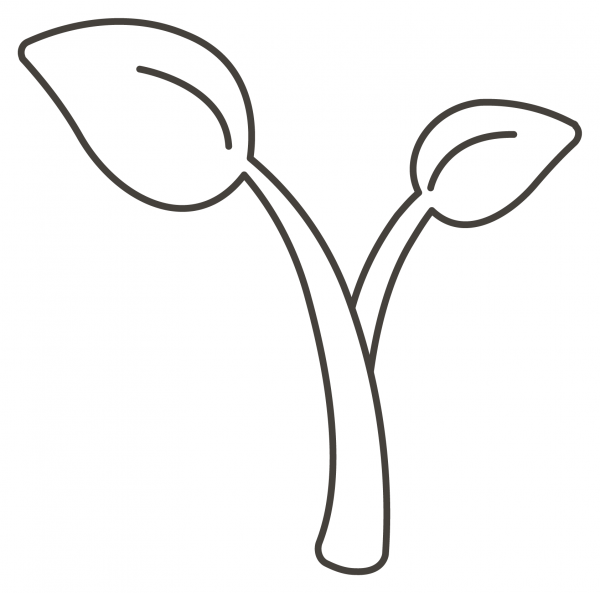Seedling coloring page image