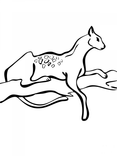 Serval on a Tree coloring page image