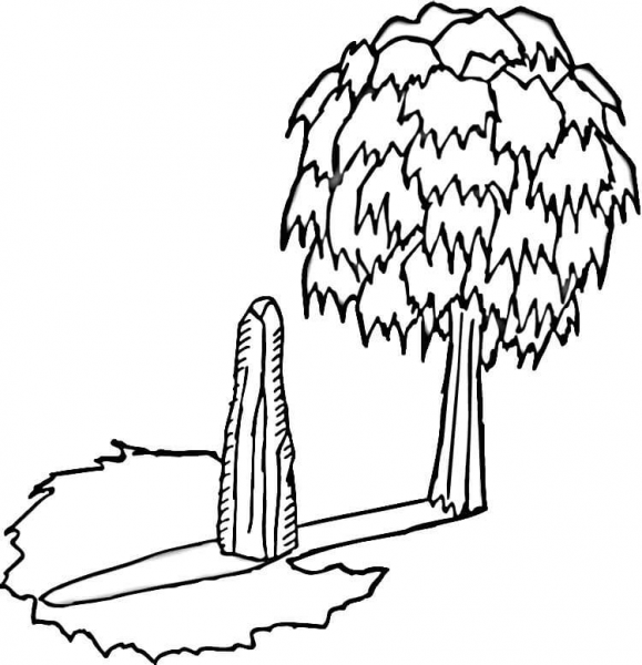 Shadow of the Tree  coloring page image