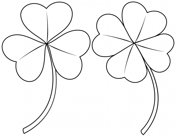 Shamrock coloring page image