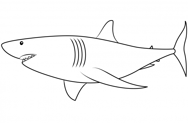 Shark coloring page image