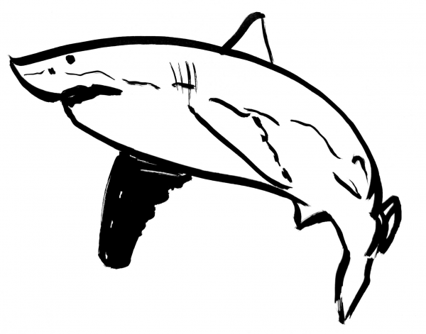 Shark coloring page image