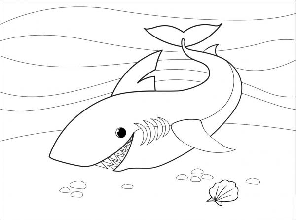 Shark coloring page image