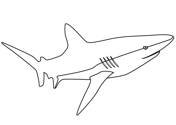 Shark coloring page image