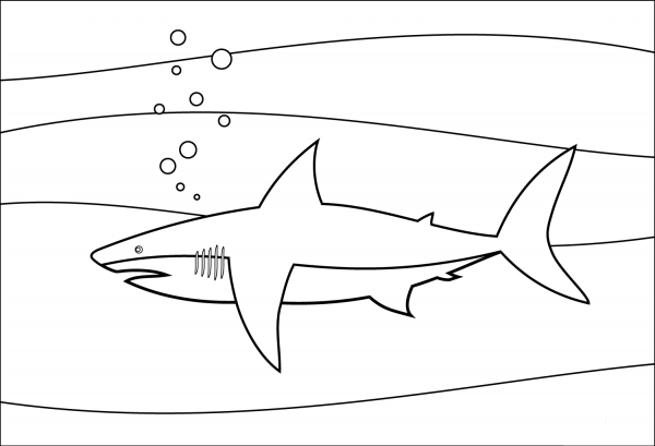 Shark coloring page image