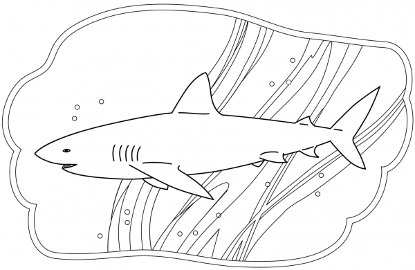 Shark coloring page image