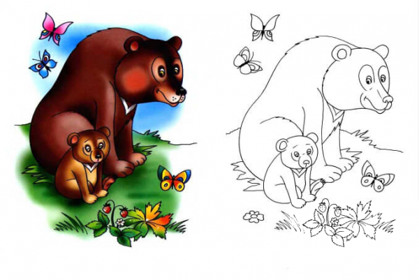 She-Bear And Bear Cub coloring page image