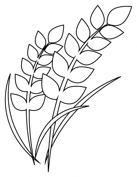 Sheaf of Rice coloring page image