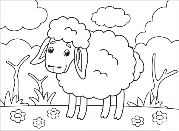 Sheep coloring page image