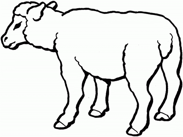 Sheep coloring page image