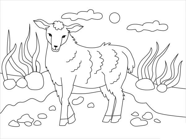 Sheep coloring page image