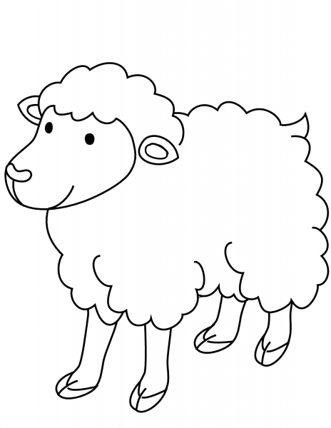 Sheep coloring page image