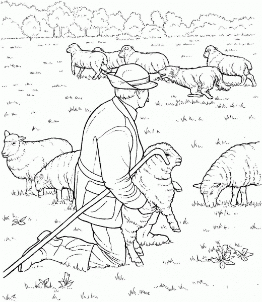 Sheep herd and  Shepherd coloring page image