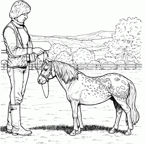 Shetland Pony coloring page image