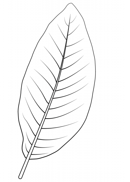 Shingle Oak Leaf coloring page image