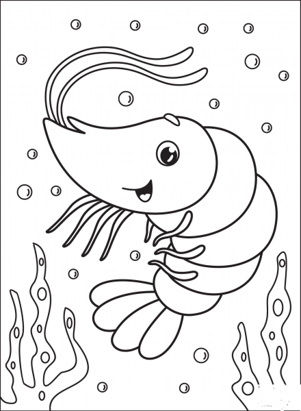 Shrimp coloring page image