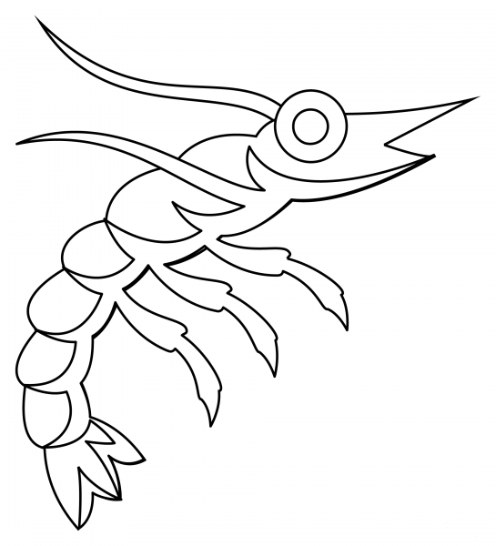 Shrimp coloring page image