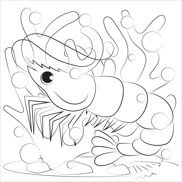 Shrimp coloring page image