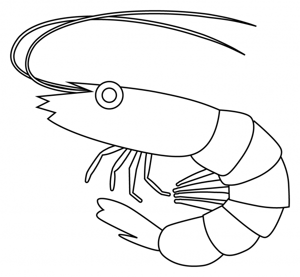 Shrimp Emoji coloring page image