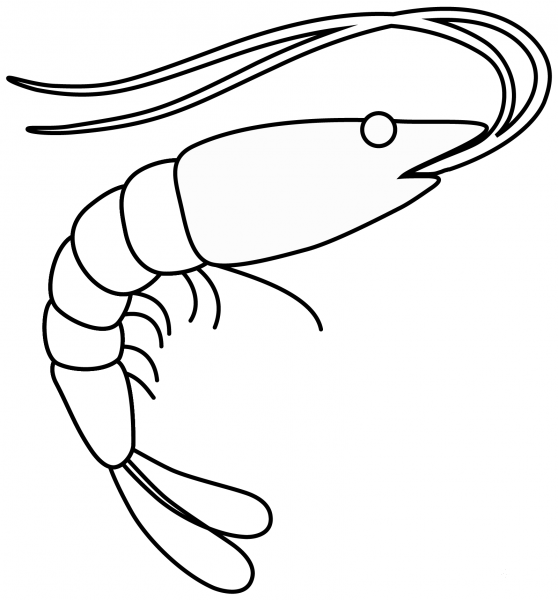 Shrimp Emoji coloring page image