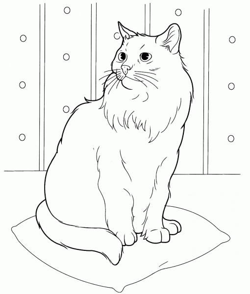 Siberian Cat  coloring page image