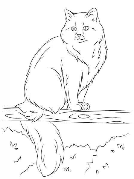 Siberian Cat Sits on a Tree coloring page image