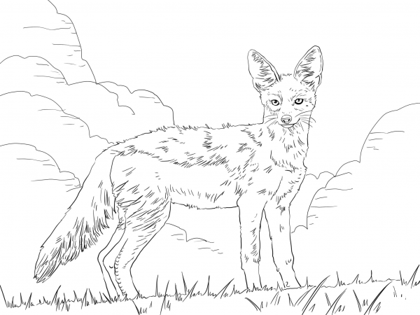 Side Striped Jackal coloring page image