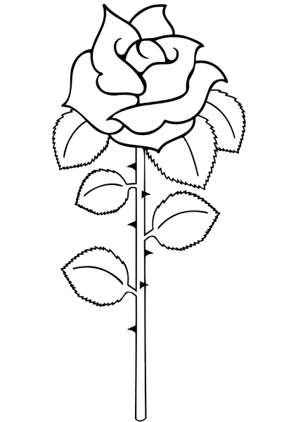 Simple Rose coloring page image