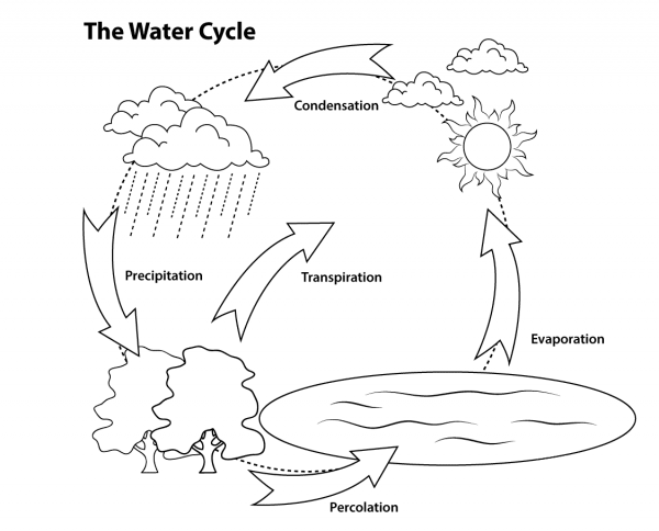 Simple Water Cycle coloring page image