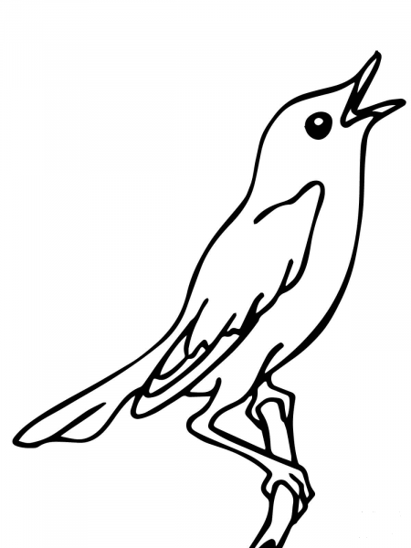 Singing Nightingale coloring page image