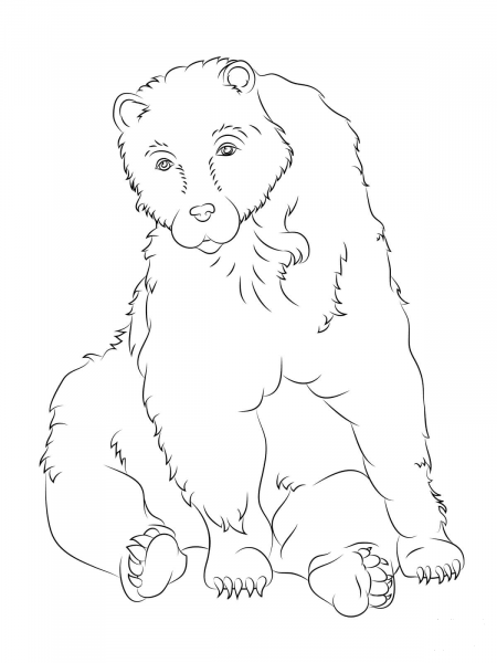 Sitting Brown Bear coloring page image