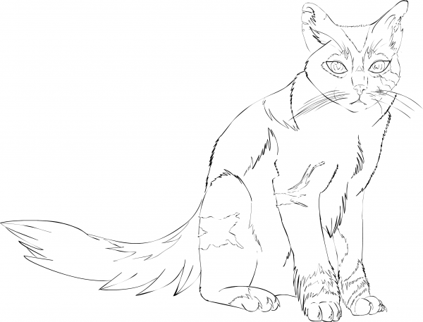 Sitting Cat coloring page image