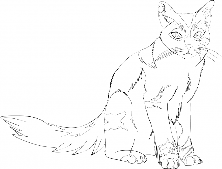 Sitting Cat coloring page - ColouringPages