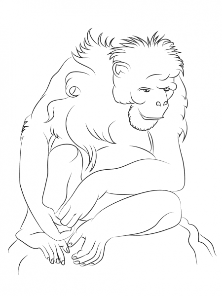Sitting Chimpanzee coloring page image