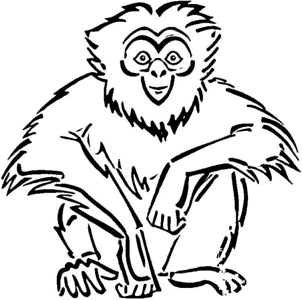 Sitting Gibbon  coloring page image