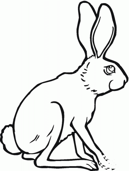 Sitting Jackrabbit coloring page image