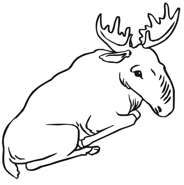Sitting Moose coloring page image