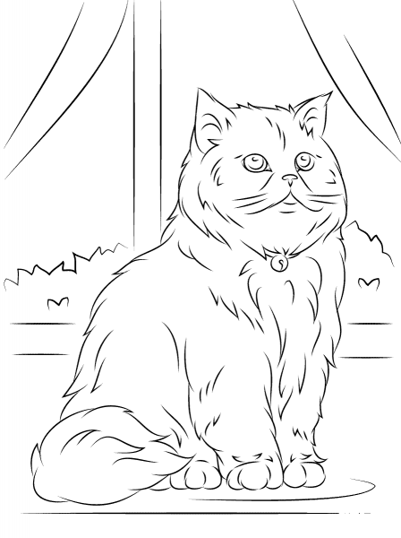 Sitting Persian Cat coloring page image