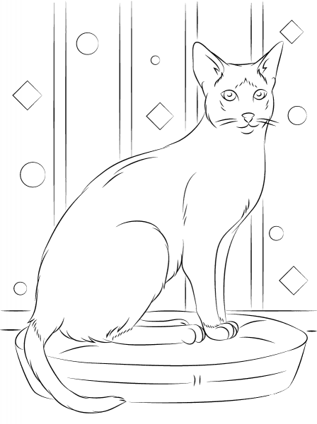 Sitting Siamese Cat coloring page image