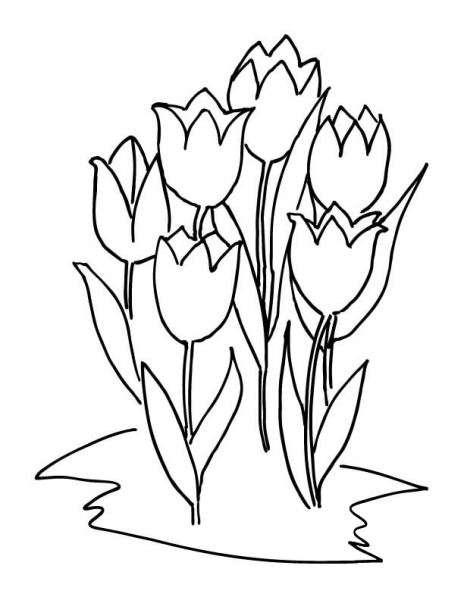 Six Tulips  coloring page image