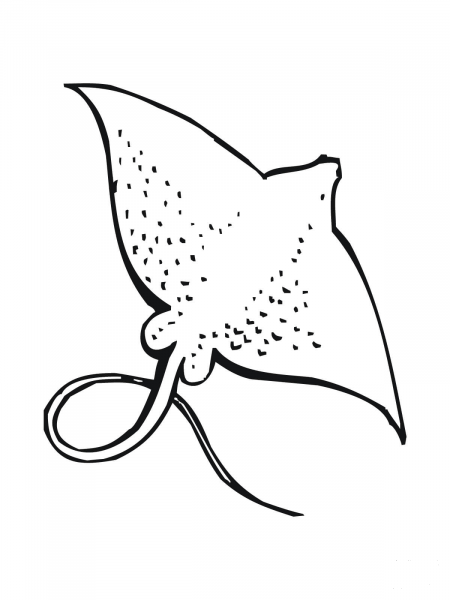 Skate Fish coloring page image