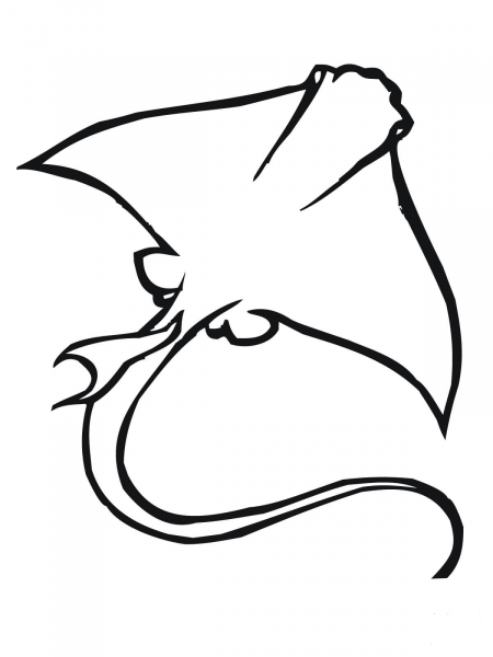 Skate Ray  coloring page image