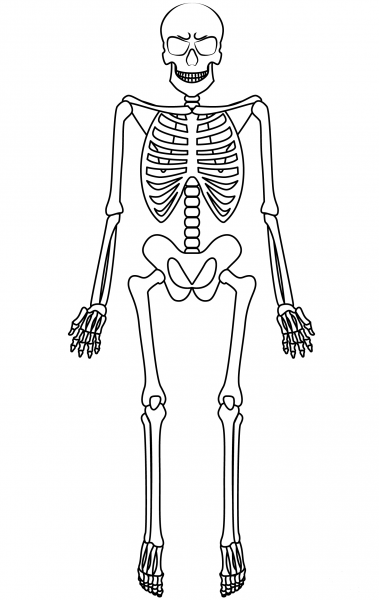 Skeleton coloring page image