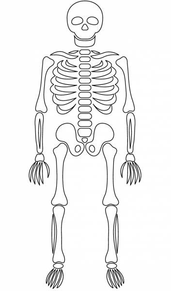 Skeleton coloring page image