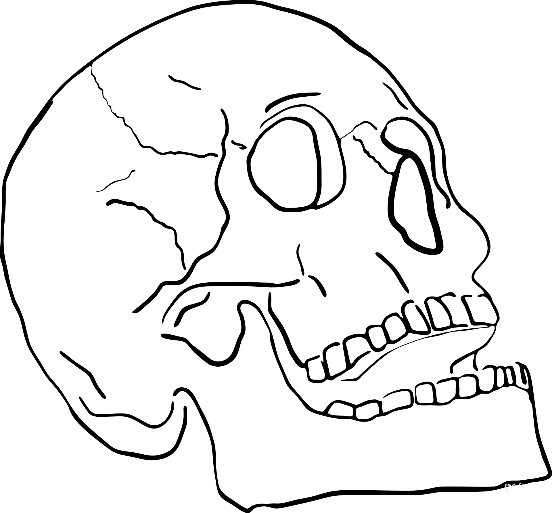 Skeleton Head coloring page - ColouringPages